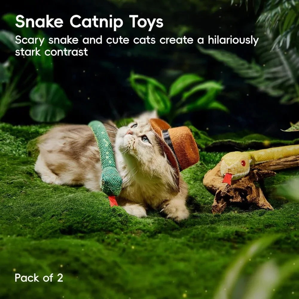 Cat Toys Realistic Snake Catnip Crinkly Sound Toy 2 Pcs, Mesh Fabric for Teeth